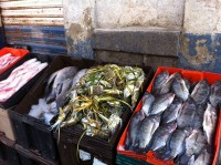 Fish Market Puebla SK